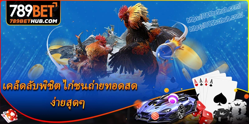 เคล็ดลับพิชิต ไก่ชนถ่ายทอดสด ที่ 789bet ง่ายสุดๆ เคล็ดลับพิชิต ไก่ชนถ่ายทอดสด ที่ 789bet ง่ายสุดๆ