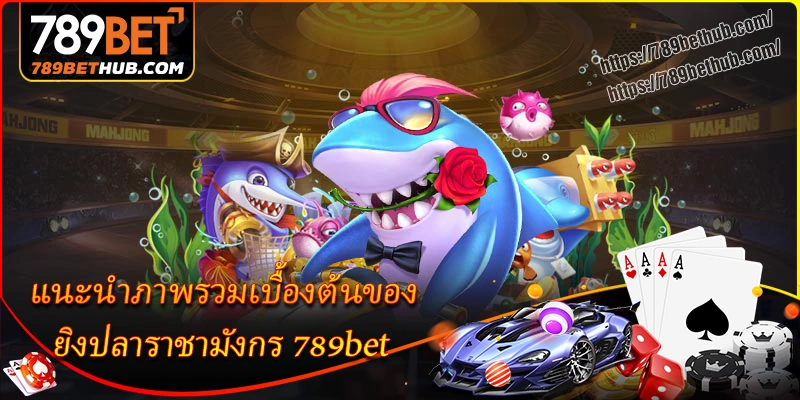 แนะนำภาพรวมเบื้องต้นของ ยิงปลาราชามังกร 789bet แนะนำภาพรวมเบื้องต้นของ ยิงปลาราชามังกร 789bet