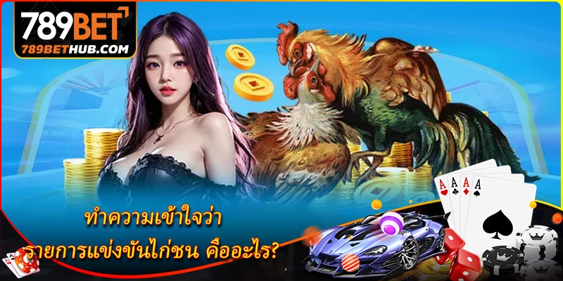 รายการแข่งขันไก่ชน - รายชื่อการแข่งขันไก่ชนยอดนิยม 1 Hiểu rõ về chọi gà.