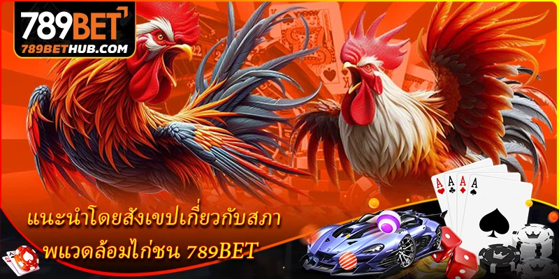 สายพันธุ์ไก่ชนชื่อดังที่ผู้คนนิยมรู้จัก 1 แนะนำโดยสังเขปเกี่ยวกับสภาพแวดล้อมไก่ชน 789BET