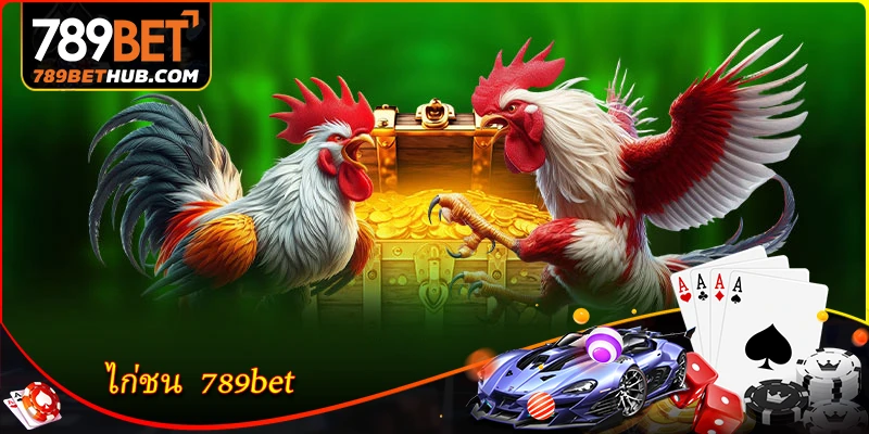 ไก่ชน 789BET - สำรวจสนามชนไก่สุดเร้าใจ